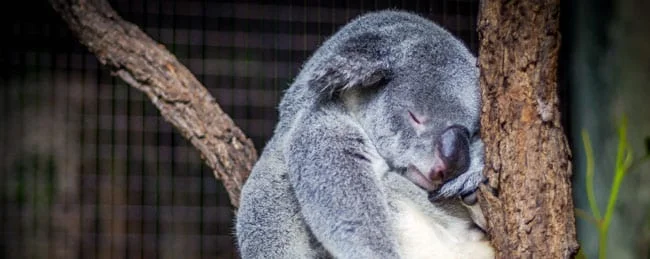 7 Easy Things That Helped My Sleep