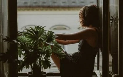 Seasonal Affective Disorder and Light Therapy